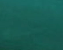 Load image into Gallery viewer, Faded Sherwood Green 1963