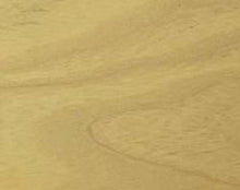 Load image into Gallery viewer, Butterscotch Blond
